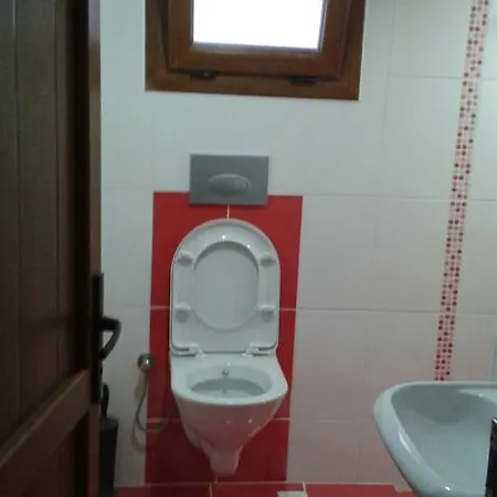 Paddys Ovacık