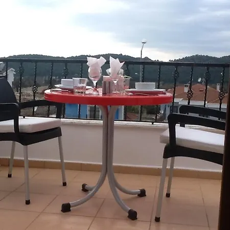 Paddys Ovacık *