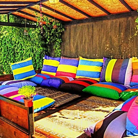 Daire Paddys Ovacık *