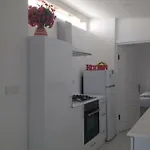 Paddys Ovacik אולודניץ